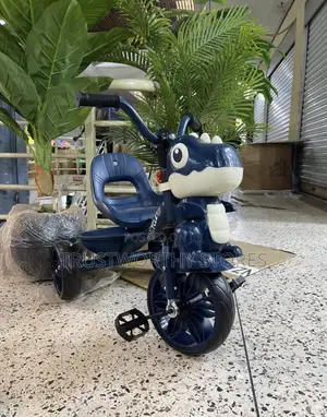 Children's Dinosaur-Themed Tricycle - Unisex (1-5)Years