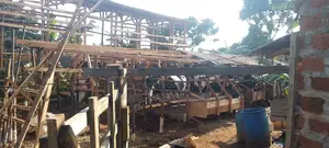 5bedroom House on Cash Sale