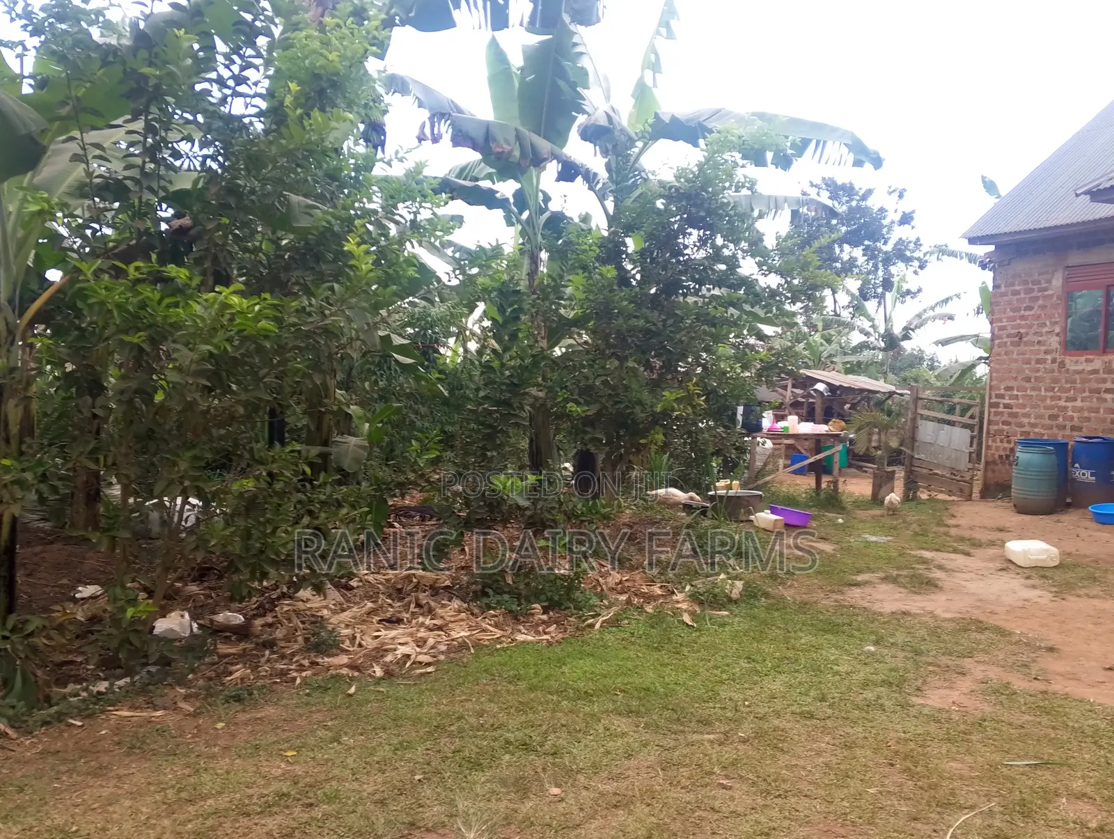 5bedroom House on Cash Sale