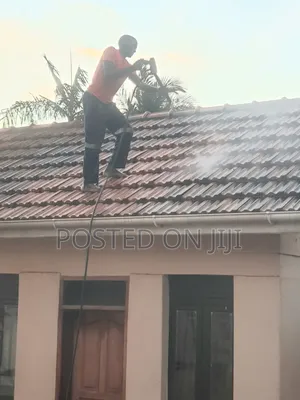 Roof Cleaning Services
