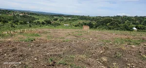Namayumba Plots for Sale Along Hoima Road