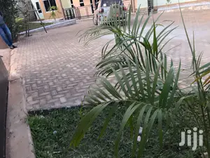 Kira ,Spacious Mansion on Sell