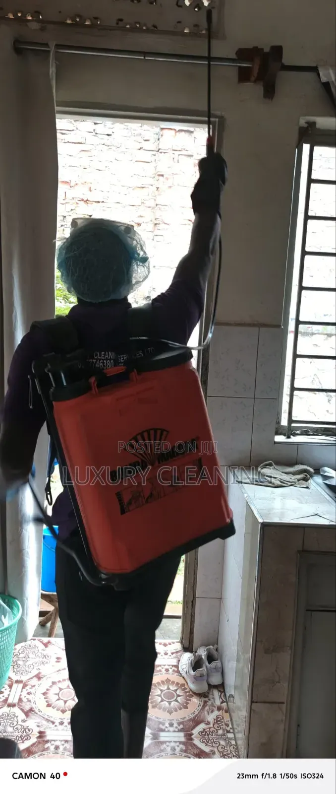 Cockroaches Fumigation