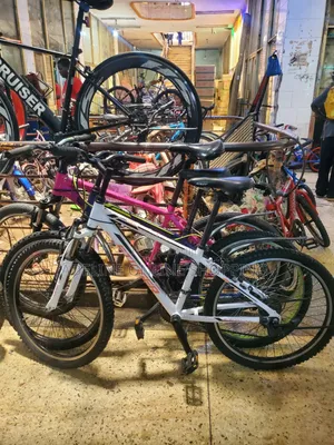 Stinger Mountain Bike