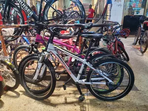 Stinger Mountain Bike