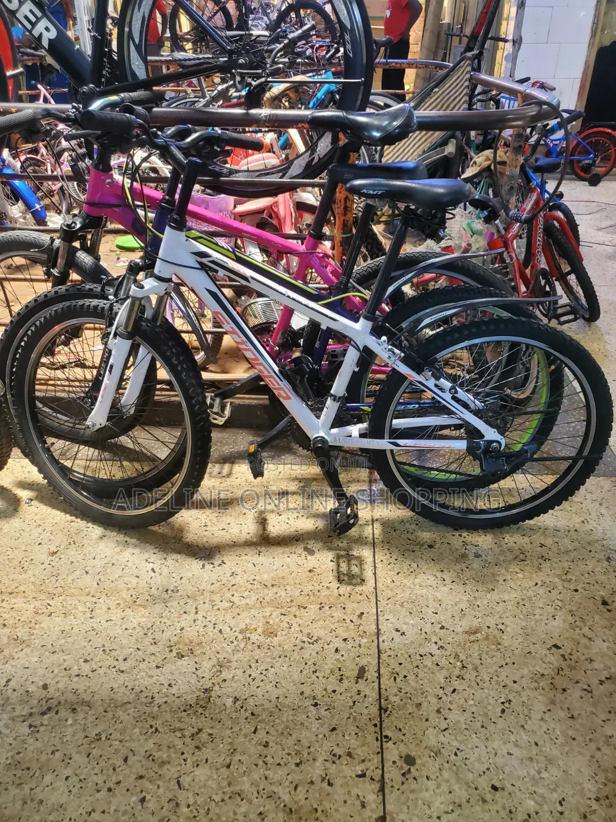 Stinger Mountain Bike