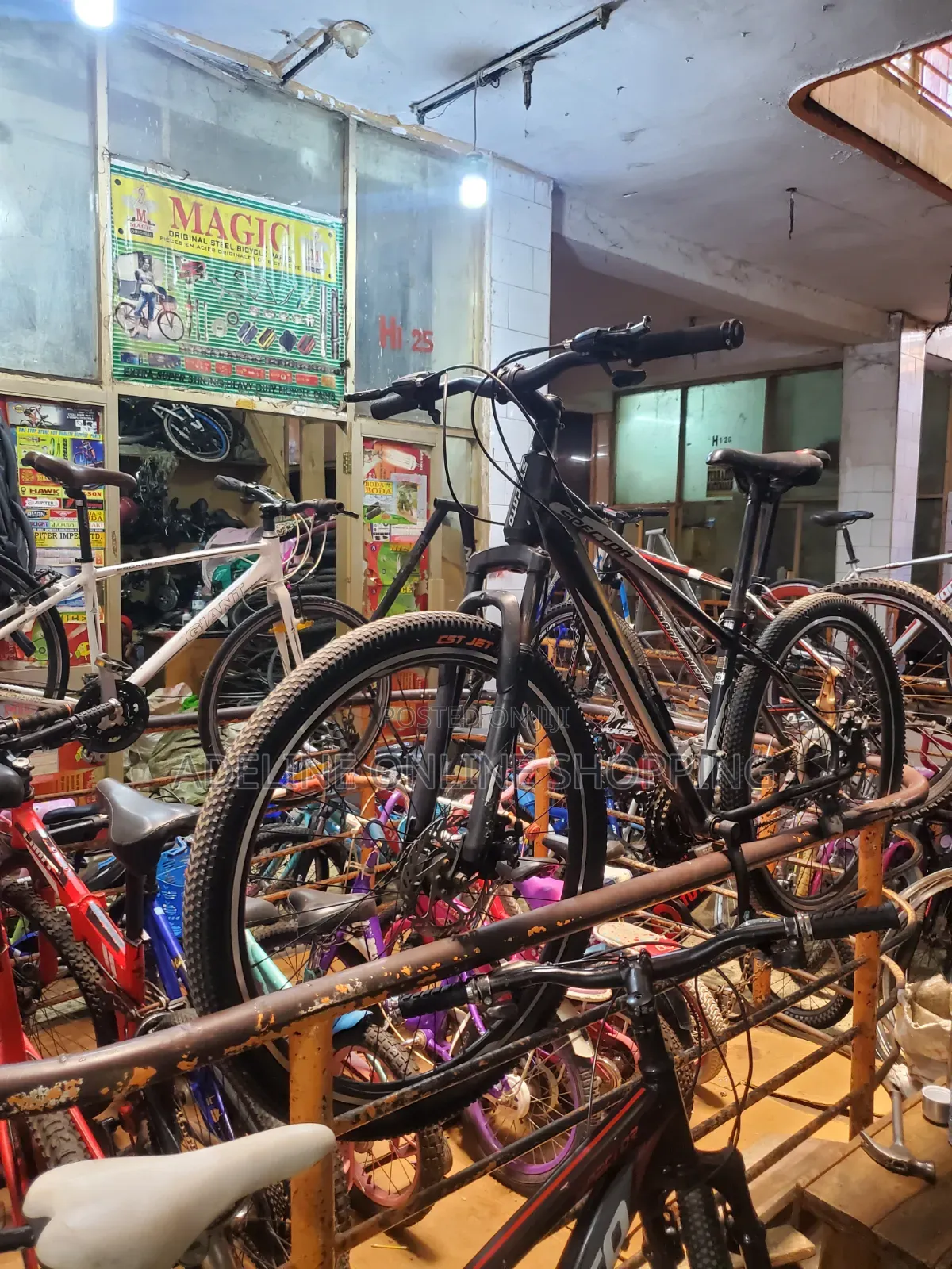 Spector Mountain Bike