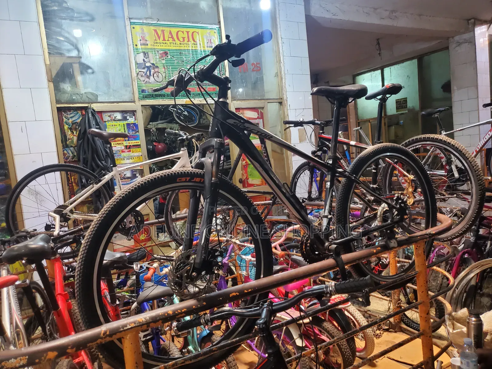 Spector Mountain Bike
