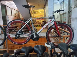 Alton Colligo Bicycle