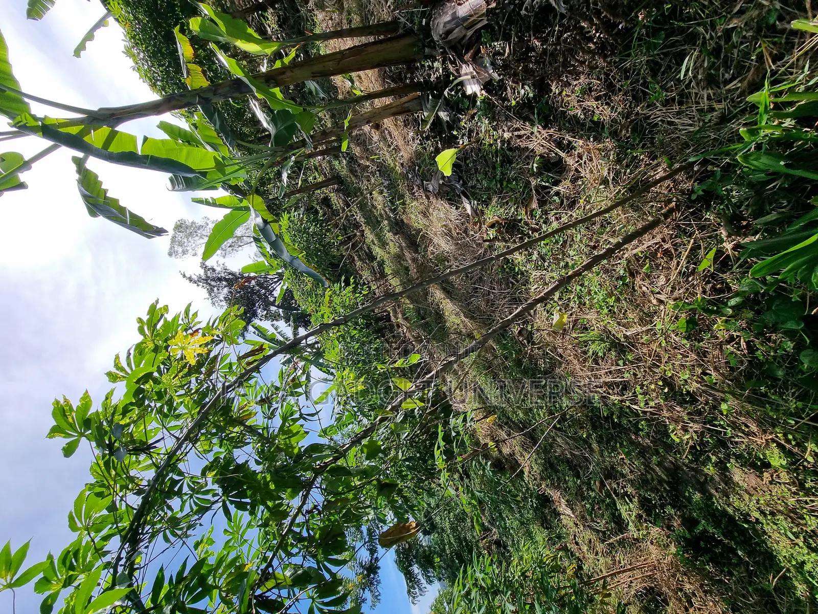 Land for Sale in Katende
