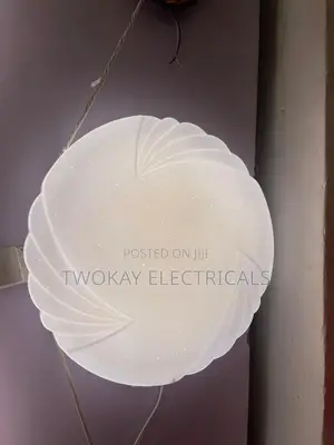 48w Ceiling Light