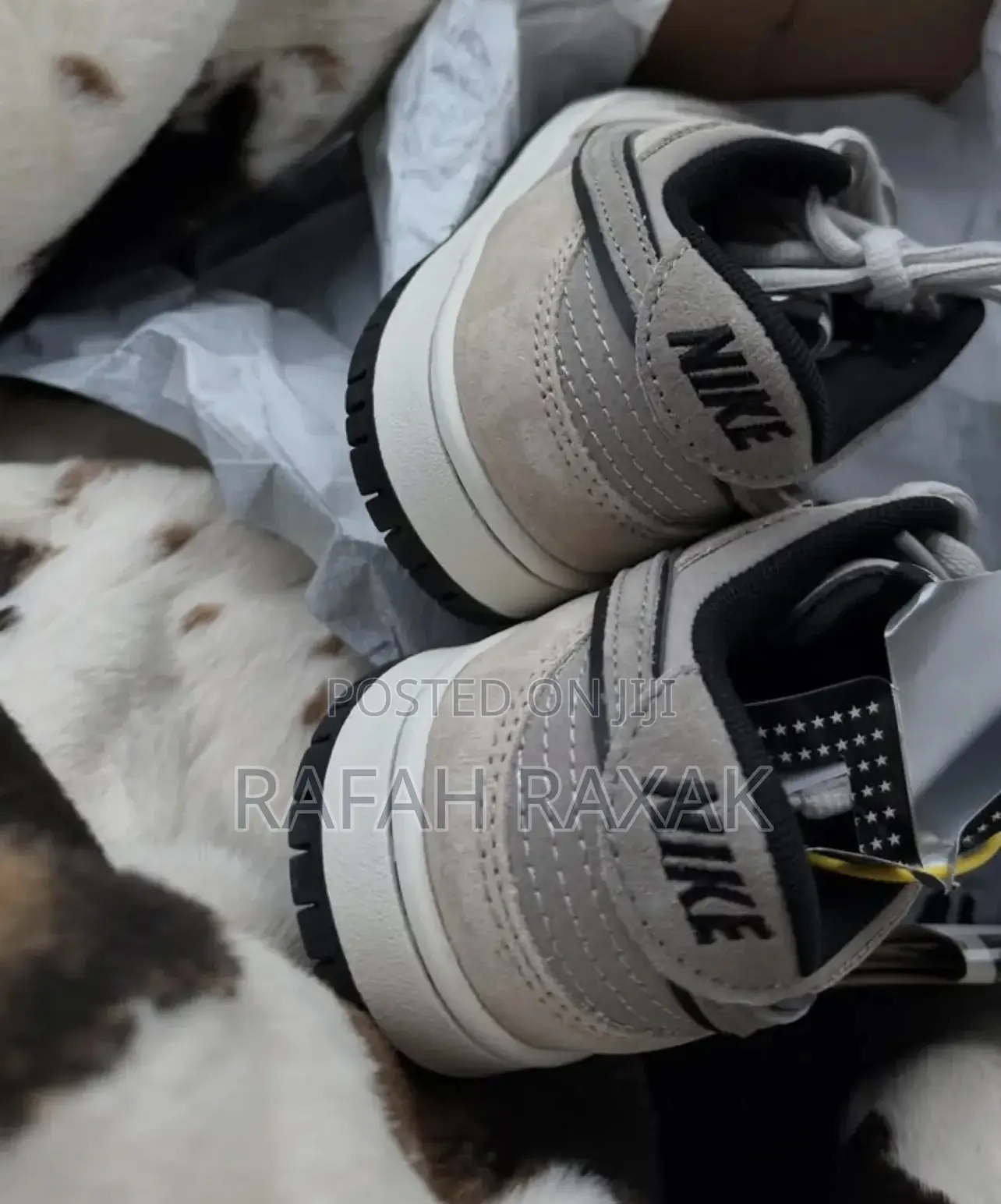 Steamboy Ost Nike Sb Dunk Low Sneakers