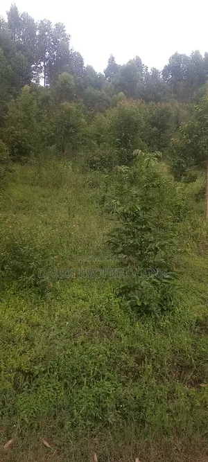 1⁄2 Acre (50 Decimals) on Sale