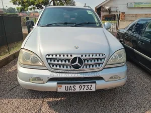 Mercedes-Benz M Class 2003 Silver