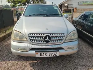 Mercedes-Benz M Class 2003 Silver