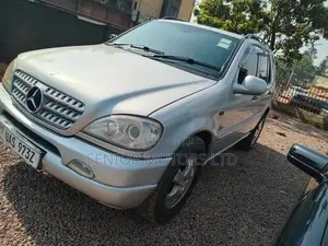 Mercedes-Benz M Class 2003 Silver