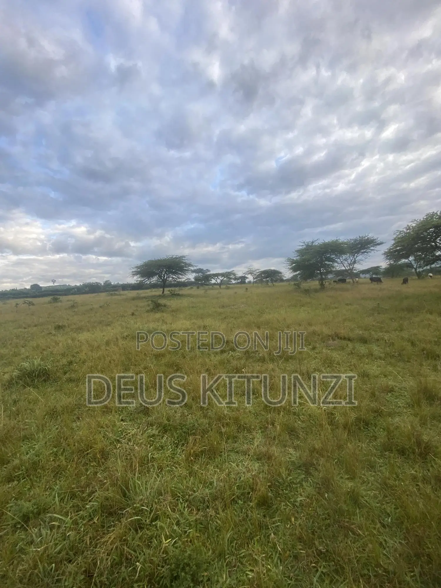 25 Acres on Sale – Kitwe T/C, Ntungamo