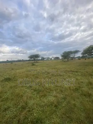 25 Acres on Sale – Kitwe T/C, Ntungamo