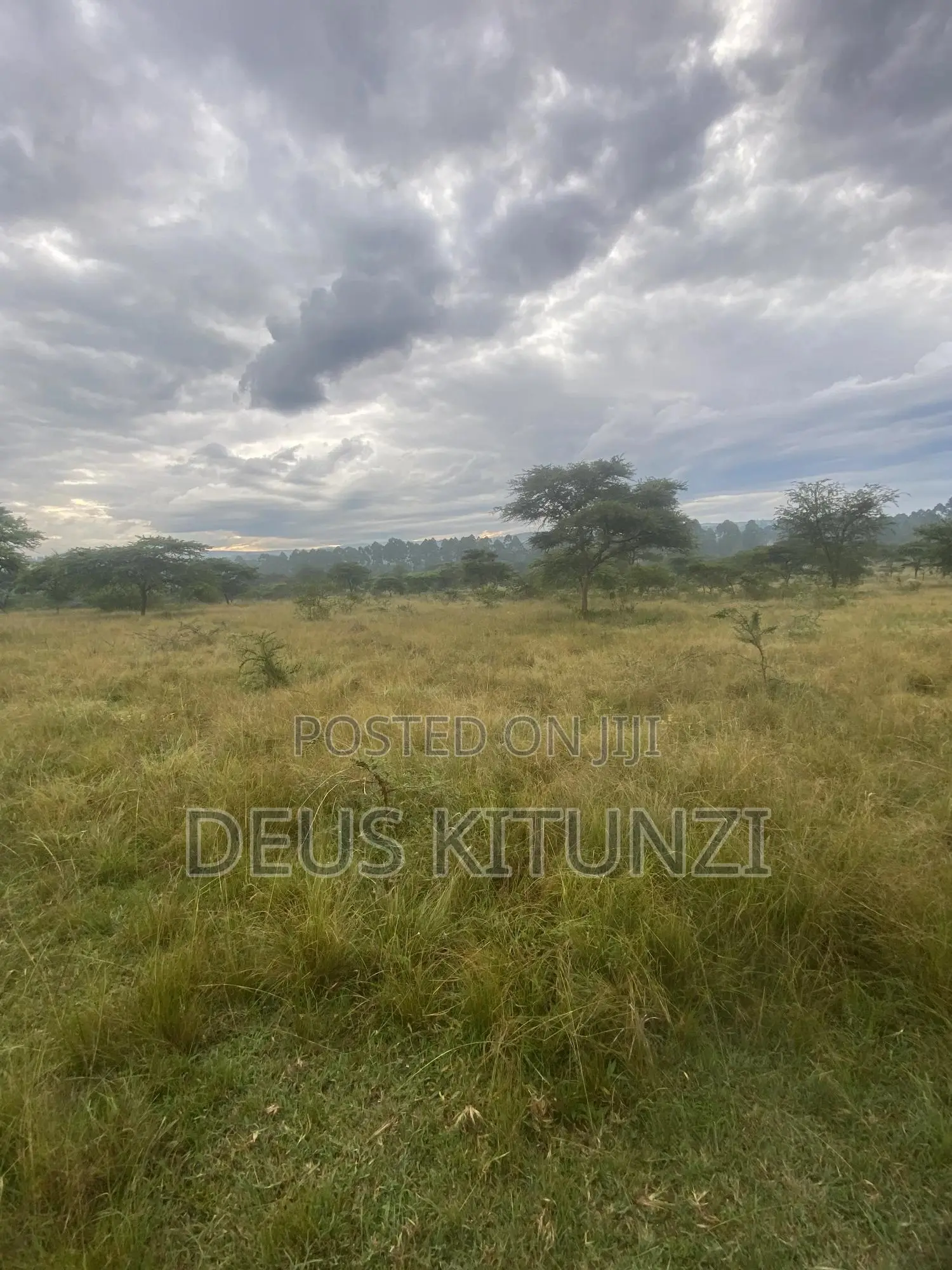 25 Acres on Sale – Kitwe T/C, Ntungamo