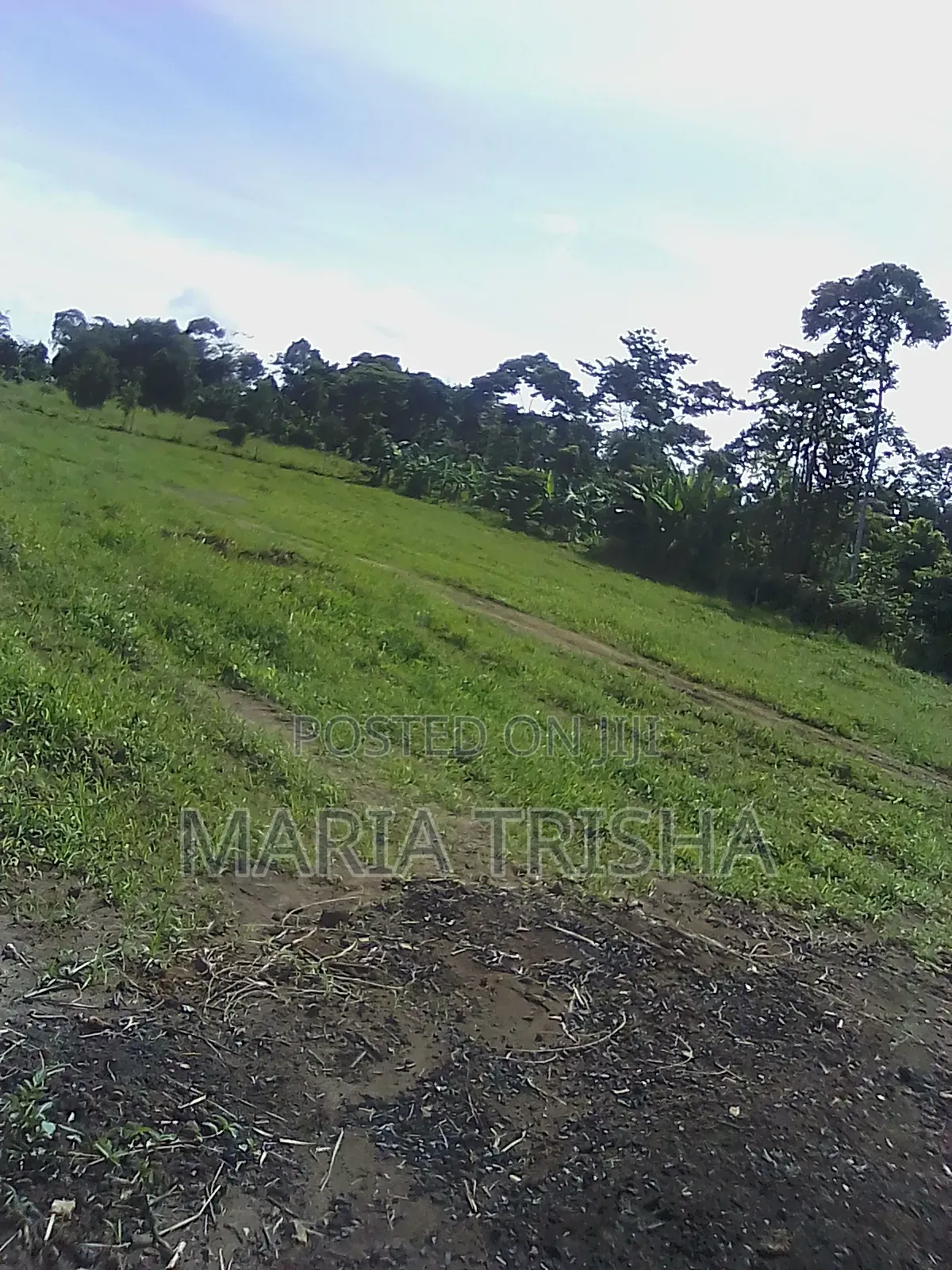 Ntenjeru Golomolo Estates With Land Tittles