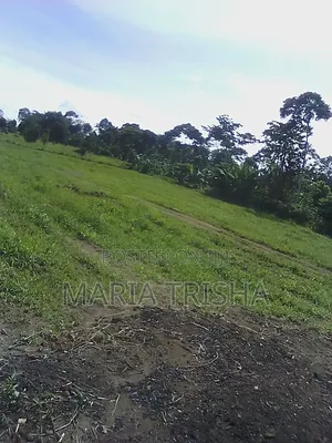 Ntenjeru Golomolo Estates With Land Tittles