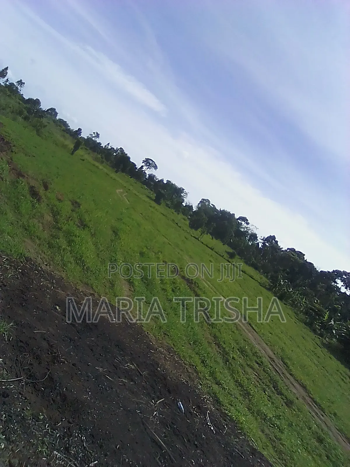 Ntenjeru Golomolo Estates With Land Tittles