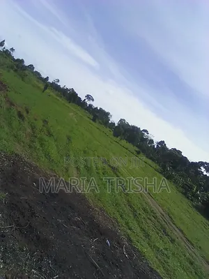 Ntenjeru Golomolo Estates With Land Tittles