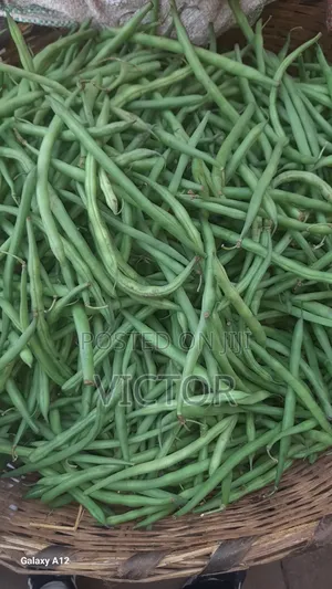 French Beans