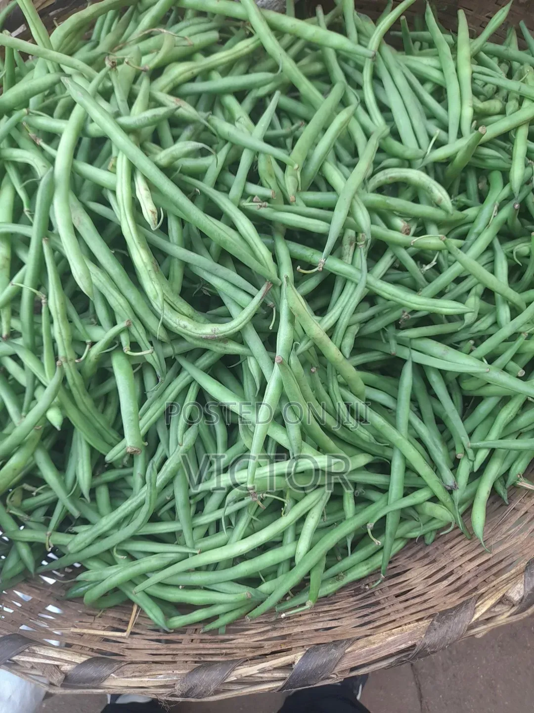 French Beans