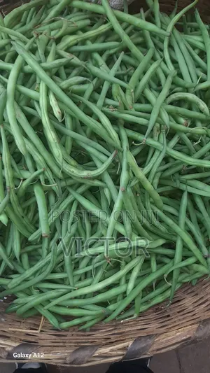 French Beans