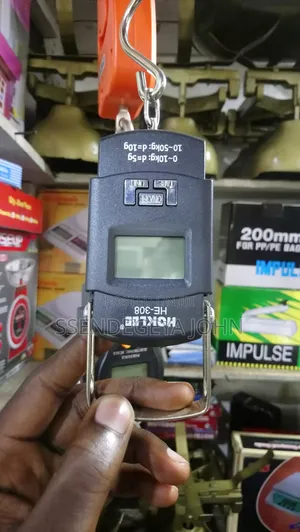 Portable Electronic Hanging Scale