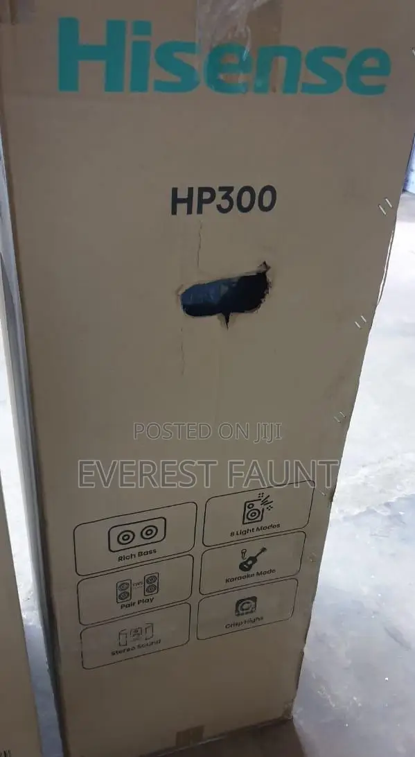 Hisense Hp300 Speaker
