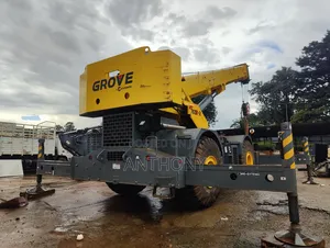 65 Tons Crane for Sale