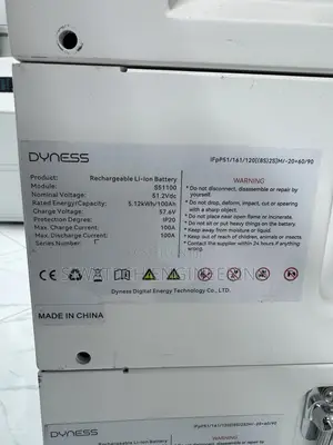 Dyness Power Brick, 14.33kwh Lithium Iron Phosphate Battery (Lv)
