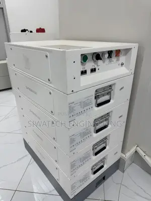 Dyness Power Brick, 14.33kwh Lithium Iron Phosphate Battery (Lv)