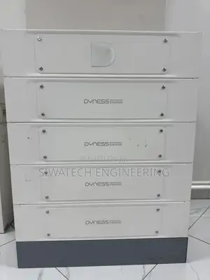 Dyness Power Brick, 14.33kwh Lithium Iron Phosphate Battery (Lv)