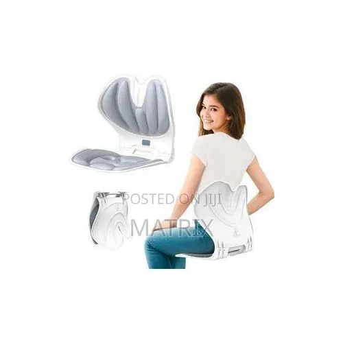 Lumbar Support Cushion for Office Chair, Ergonomic Chair Back Support