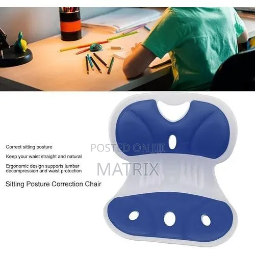 Lumbar Support Cushion for Office Chair, Ergonomic Chair Back Support