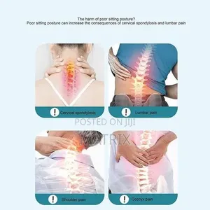 Lumbar Support Cushion for Office Chair, Ergonomic Chair Back Support