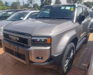 Toyota Land Cruiser 2024 Silver