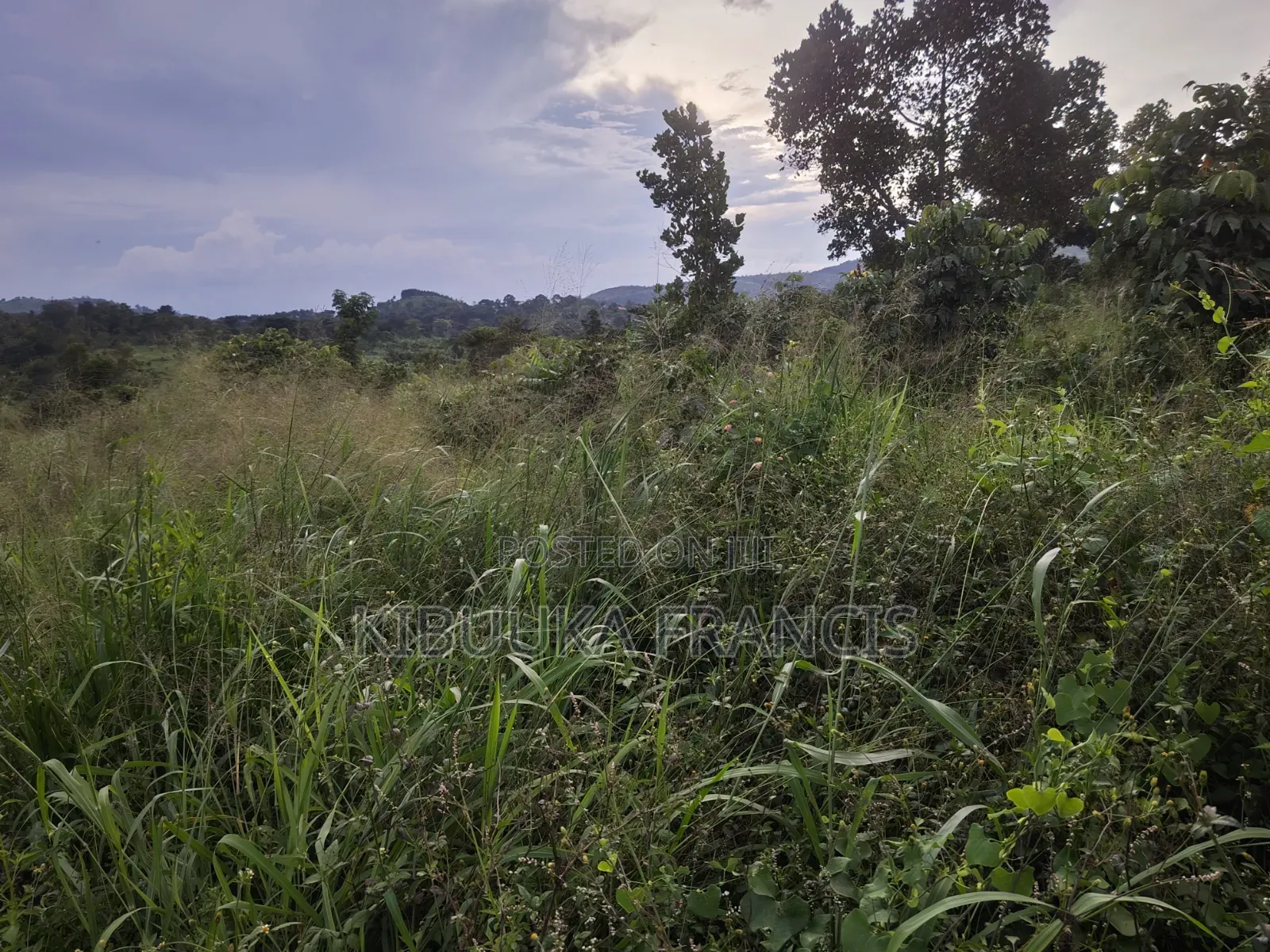 4 Acres Fertile Titled Land for Sale at Semuto