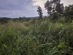 4 Acres Fertile Titled Land for Sale at Semuto