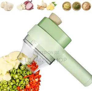 4 in 1 Electric Vegetable Chopper Hand Held