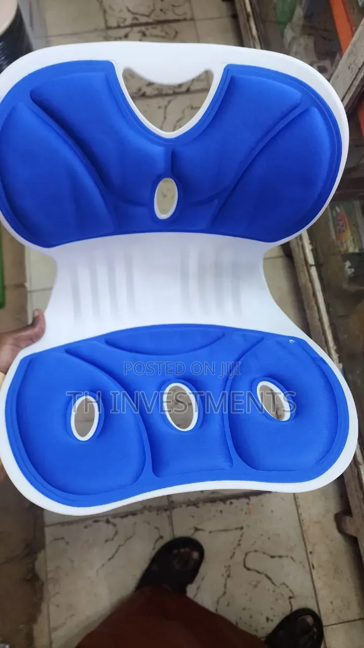 Sitting Posture Correction Chair Seat, Back Waist Support Seat
