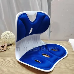 Sitting Posture Correction Chair Seat, Back Waist Support Seat