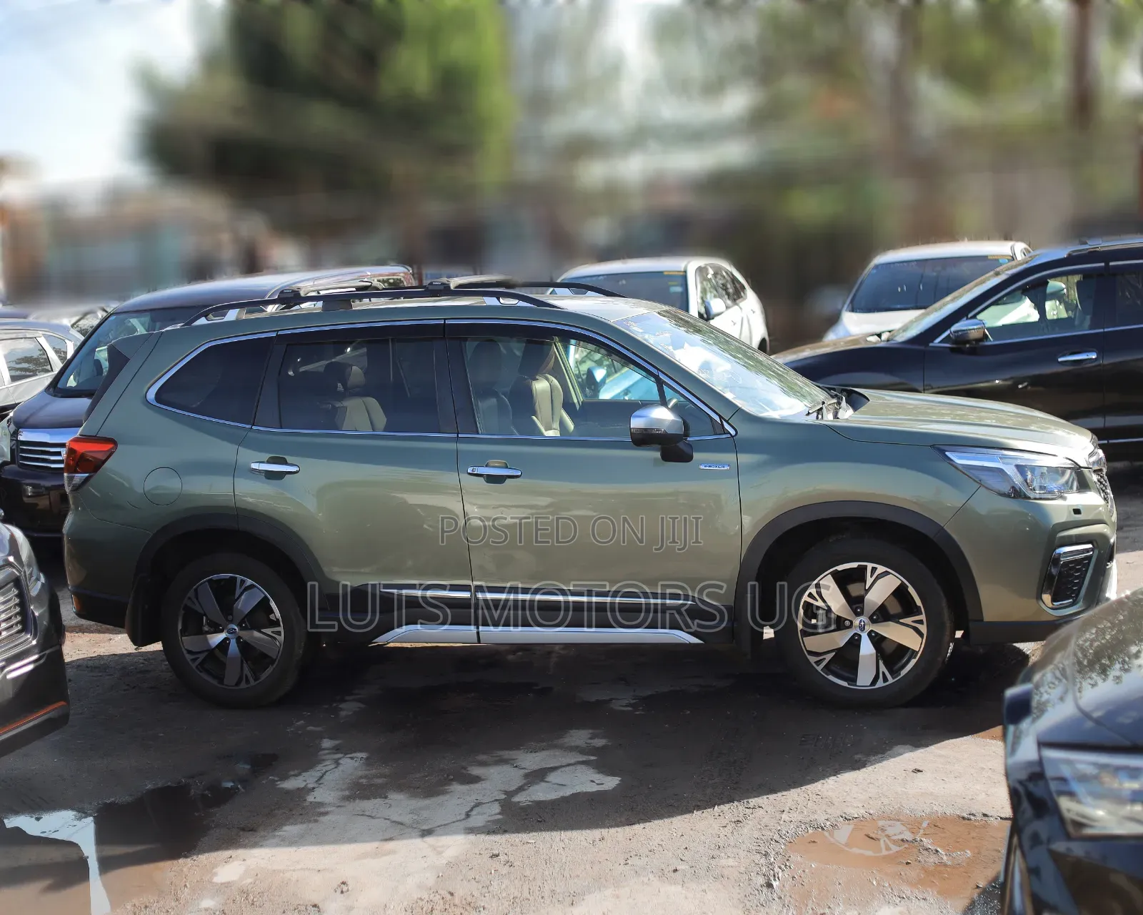 Subaru Forester 2018 Green