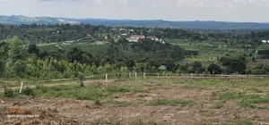Namayumba Town View Estate Plots for Sale