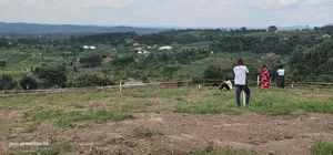 Namayumba Town View Estate Plots for Sale