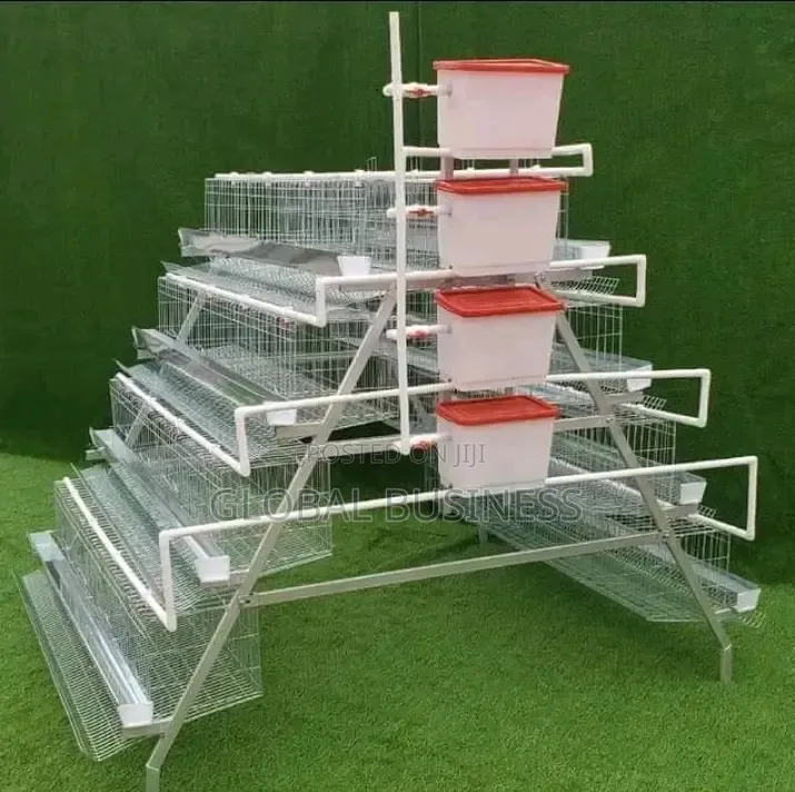 Complete 160-Poultry Cage Set – All Accessories Included!