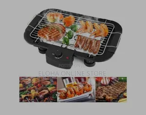 Sokany Electric Barbecue Grill